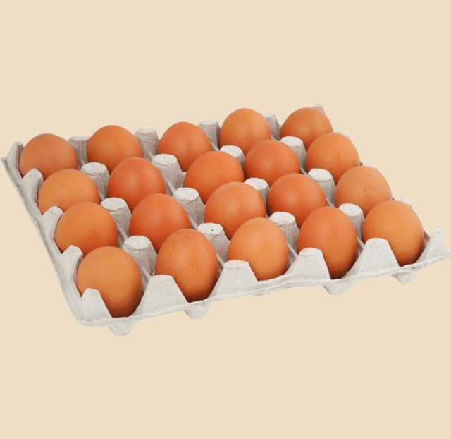 Курица и Яйцо